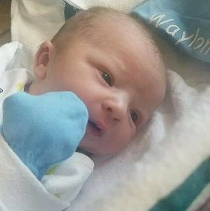 Meet your Posher, Lily